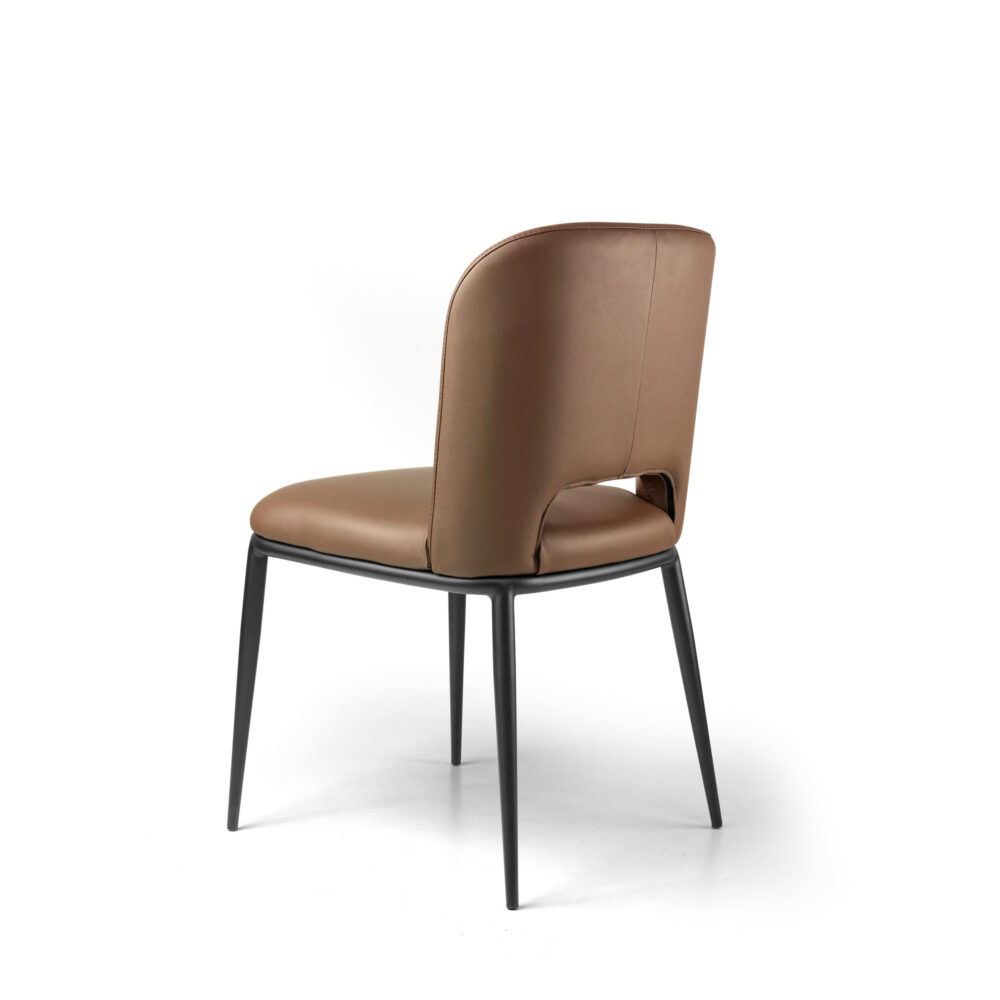 DARIO - Image 3