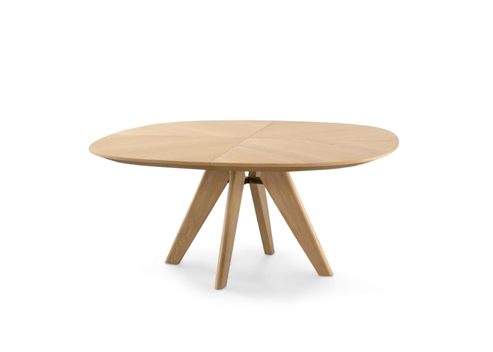 MAIDO - Image 2