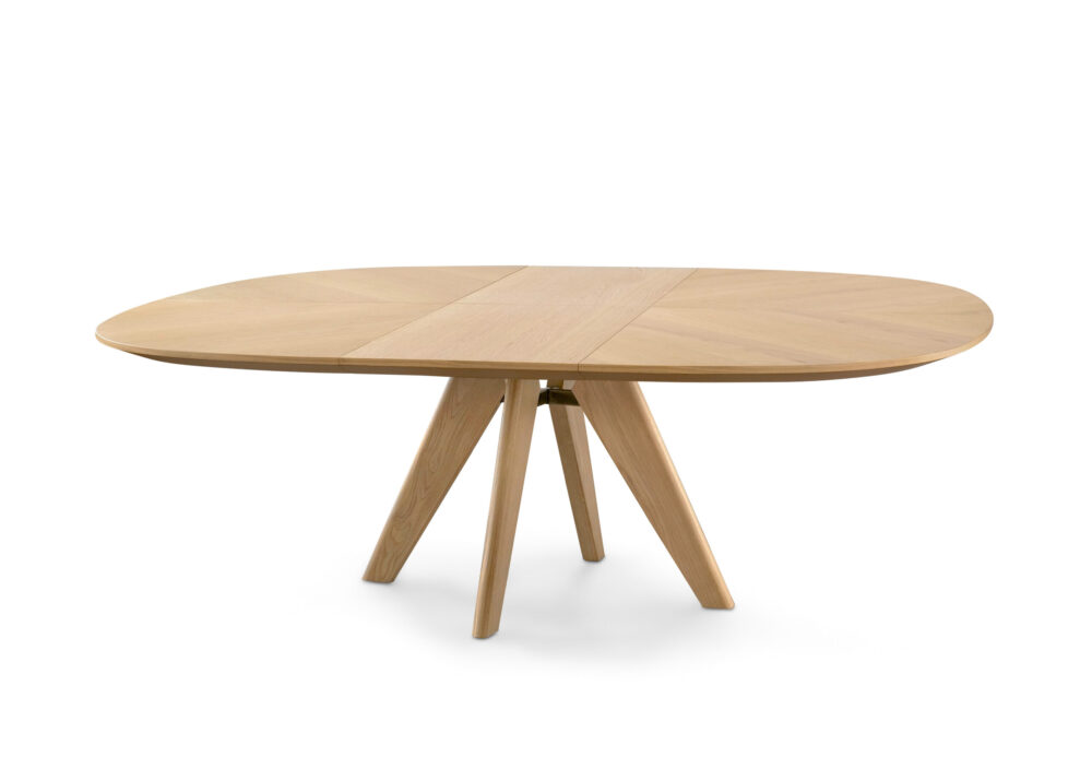 MAIDO - Image 4